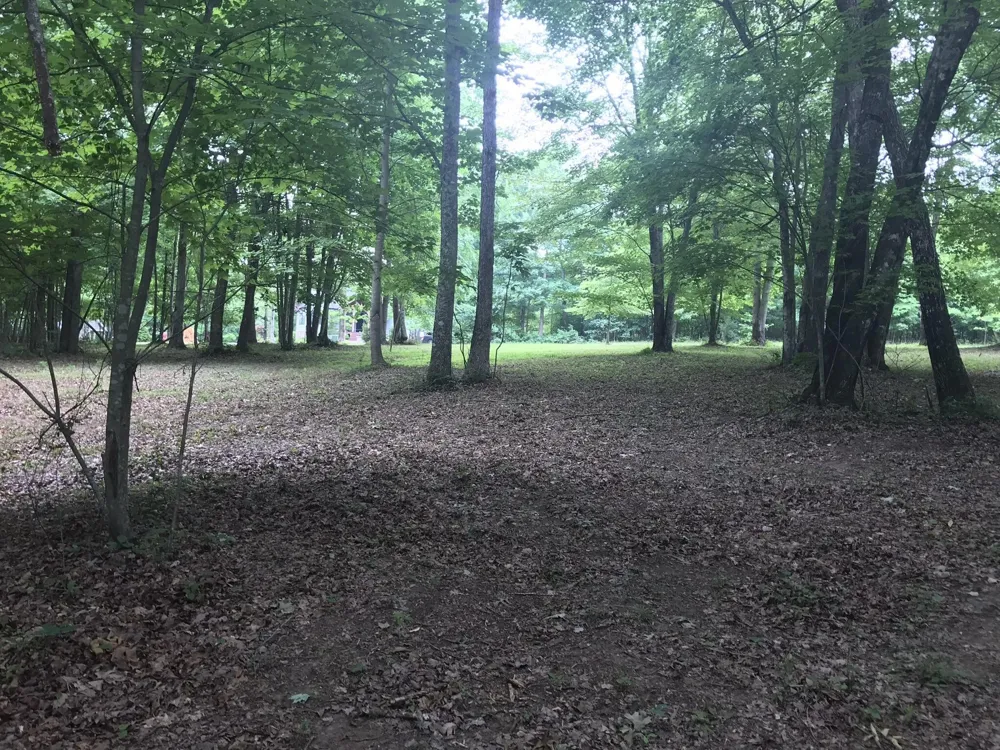 503 Wilderness Way Dunlap, TN 37327