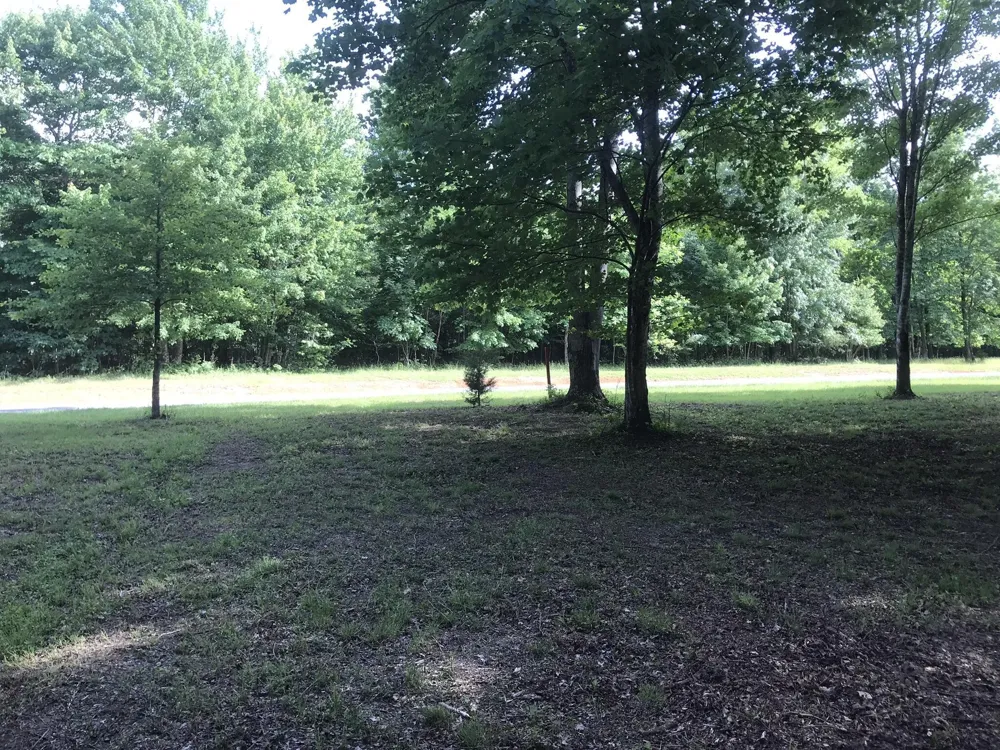 503 Wilderness Way Dunlap, TN 37327