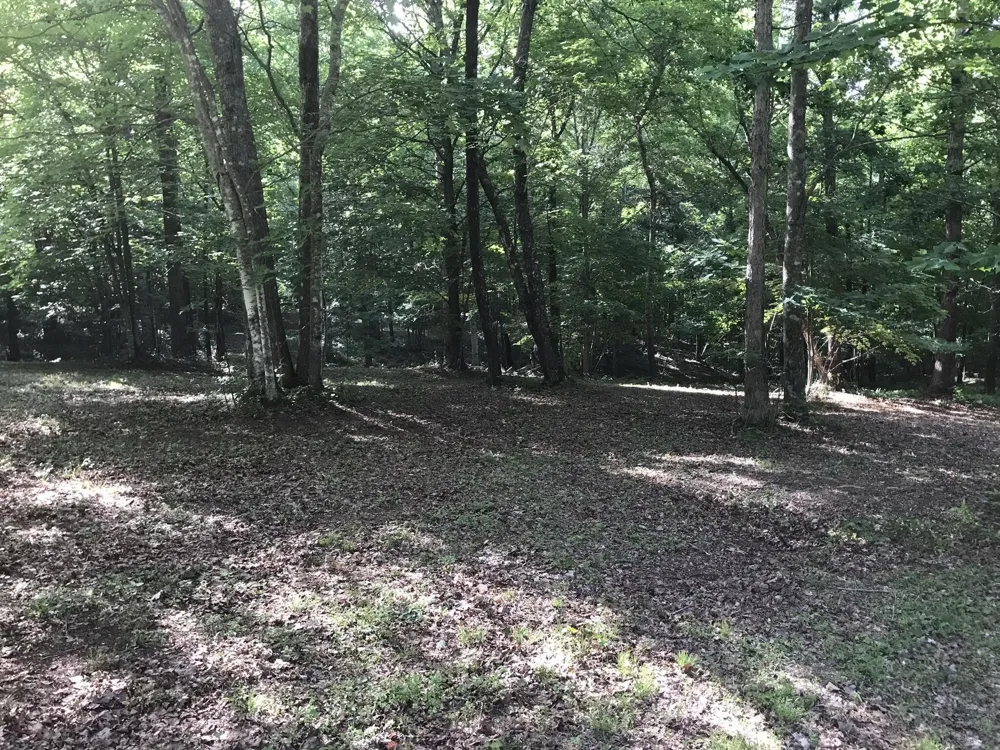 503 Wilderness Way Dunlap, TN 37327
