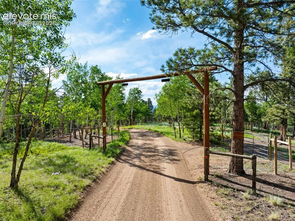 4269 County Road 51 Road Divide, CO 80814