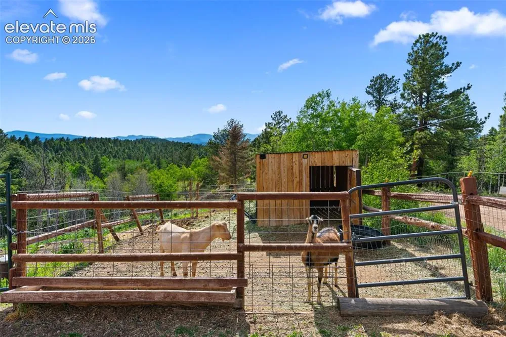 4269 County Road 51 Road Divide, CO 80814