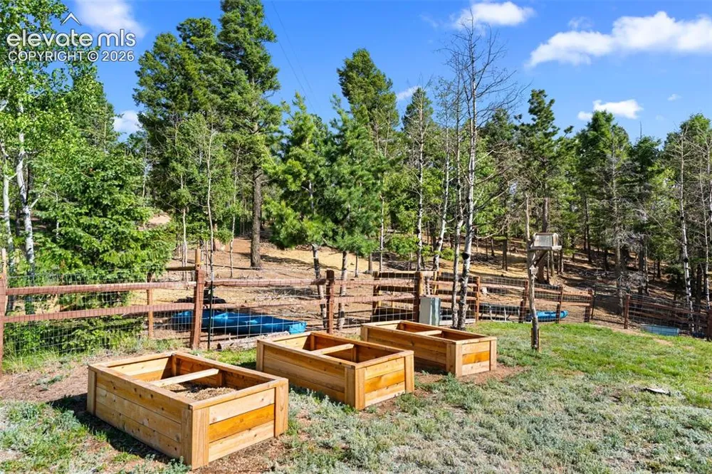 4269 County Road 51 Road Divide, CO 80814
