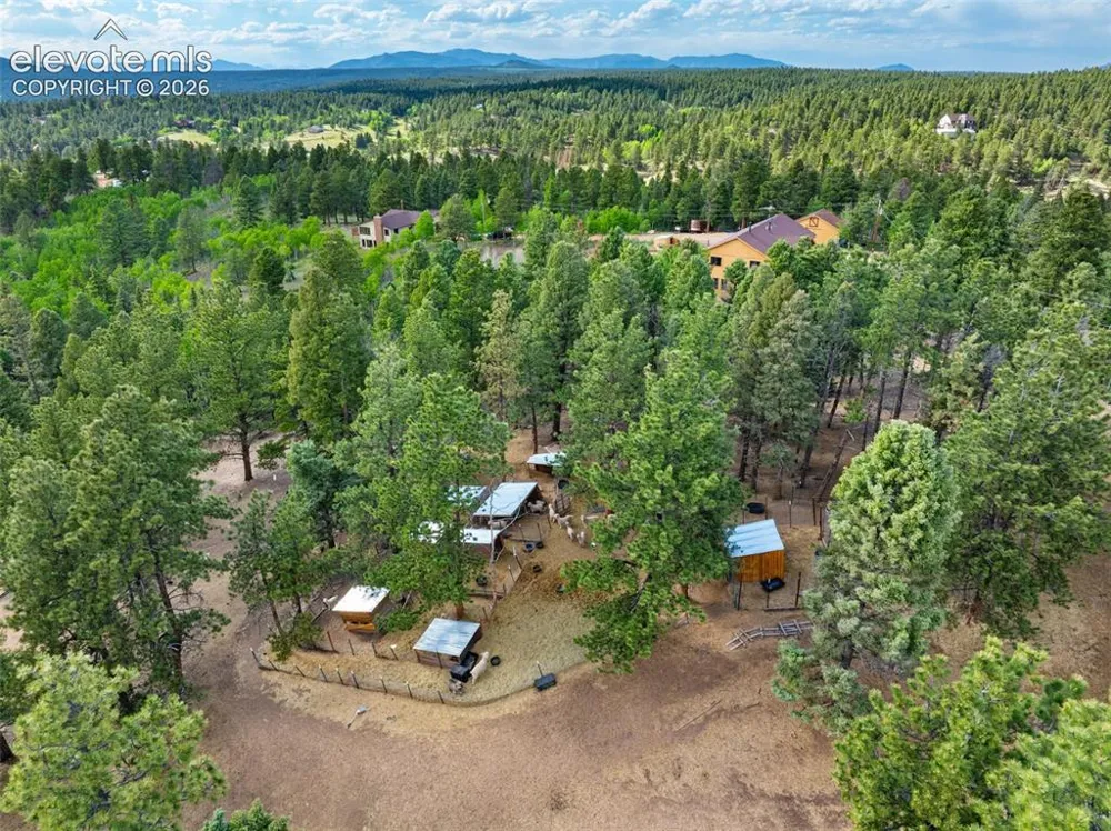 4269 County Road 51 Road Divide, CO 80814