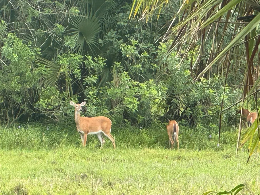 Co Rd 832 Clewiston, FL 33440