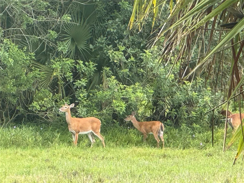 Co Rd 832 Clewiston, FL 33440