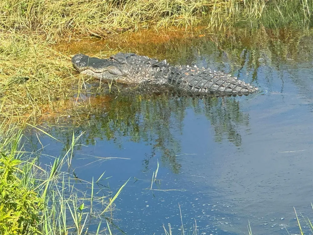 Co Rd 832 Clewiston, FL 33440