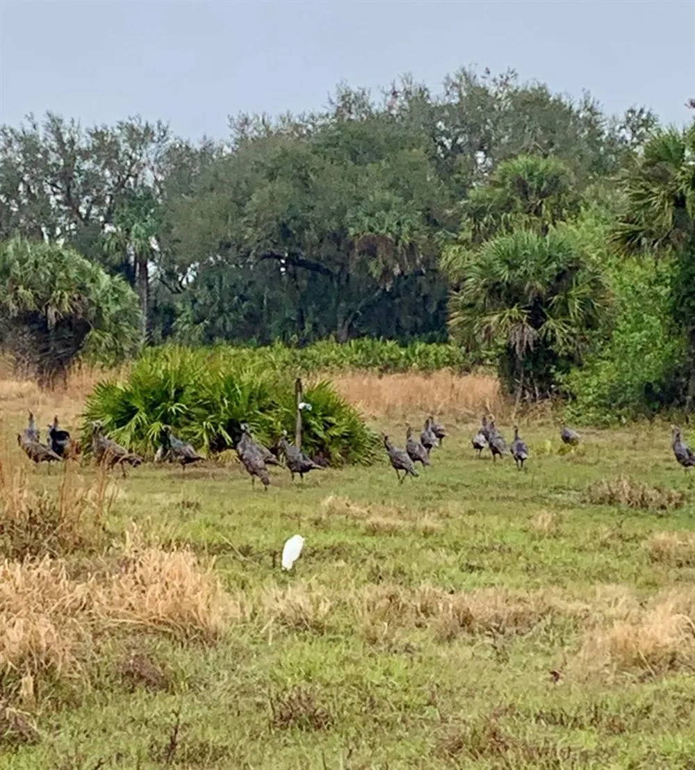 Co Rd 832 Clewiston, FL 33440
