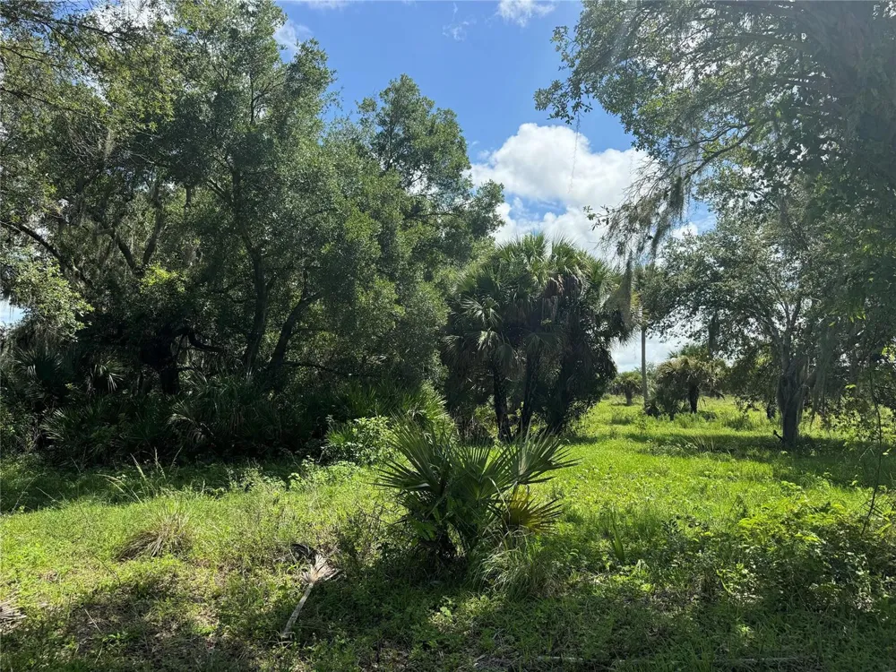 Co Rd 832 Clewiston, FL 33440