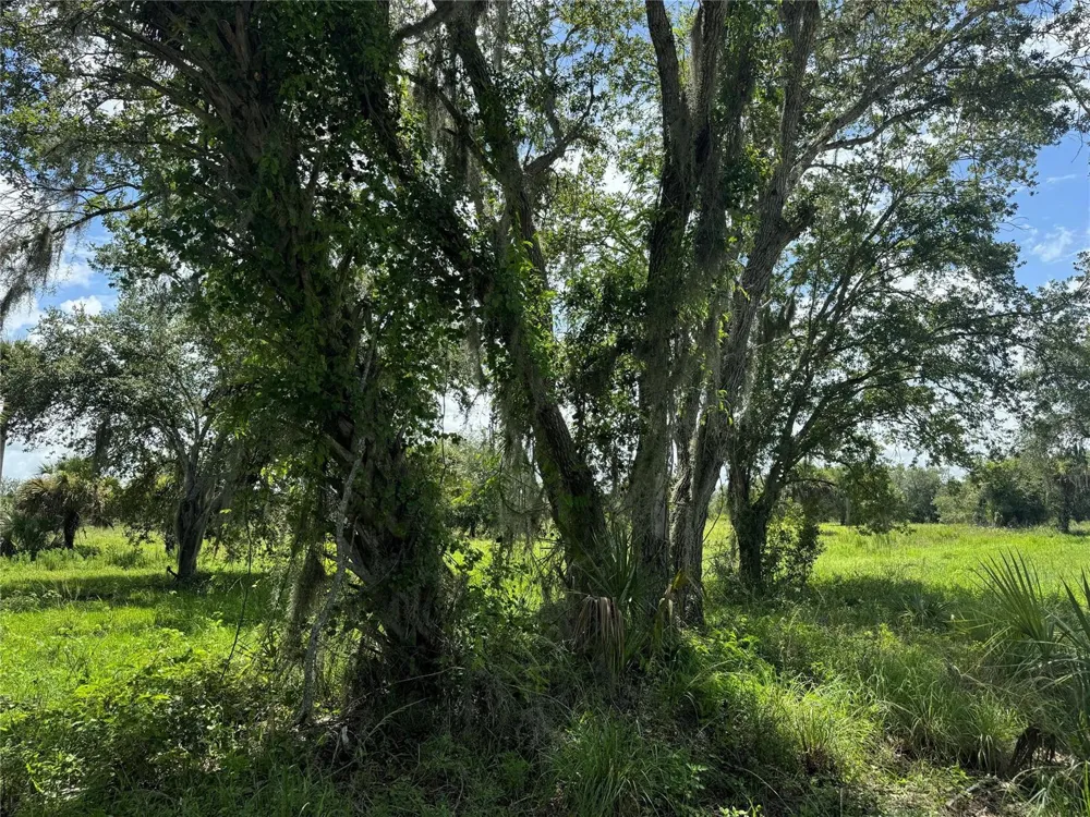 Co Rd 832 Clewiston, FL 33440