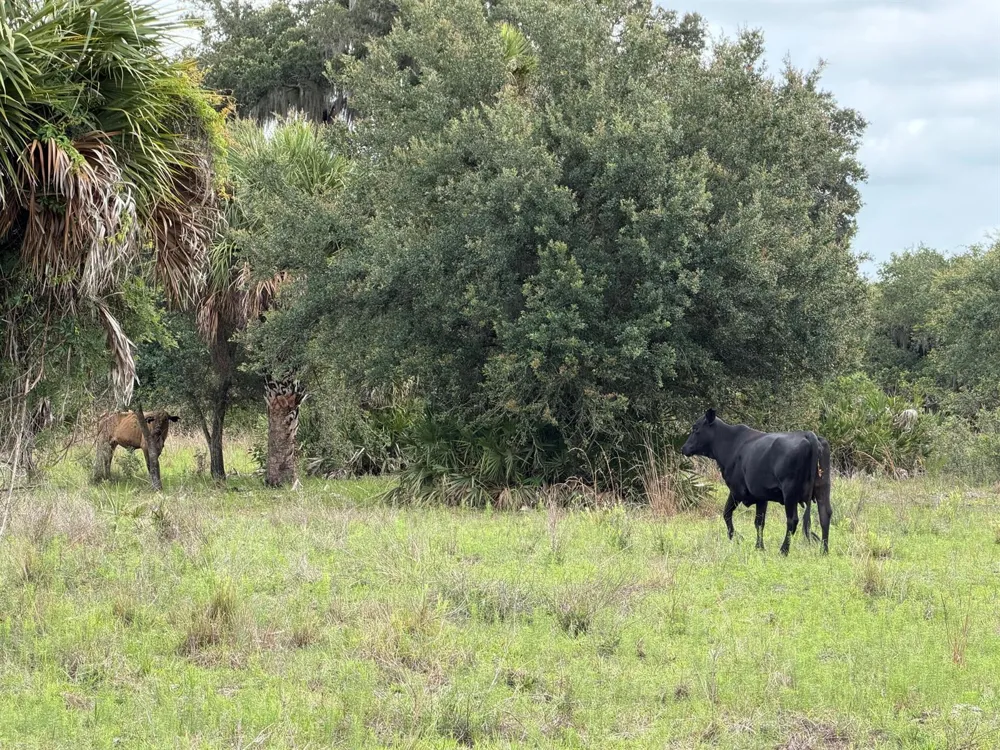 Co Rd 832 Clewiston, FL 33440