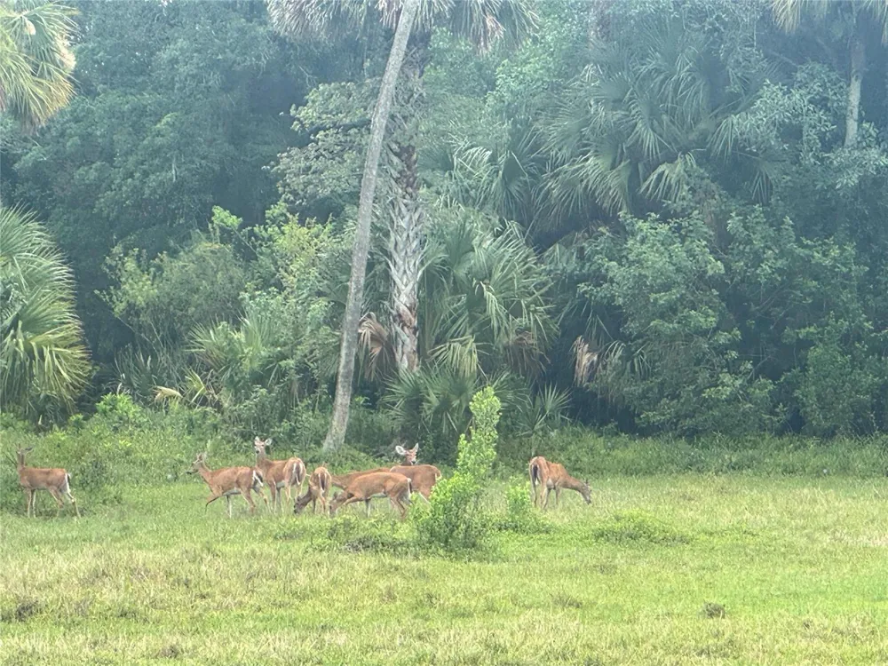 Co Rd 832 Clewiston, FL 33440
