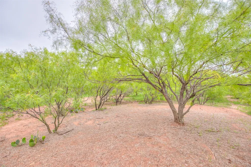 HWY 36 Baird, TX 79504