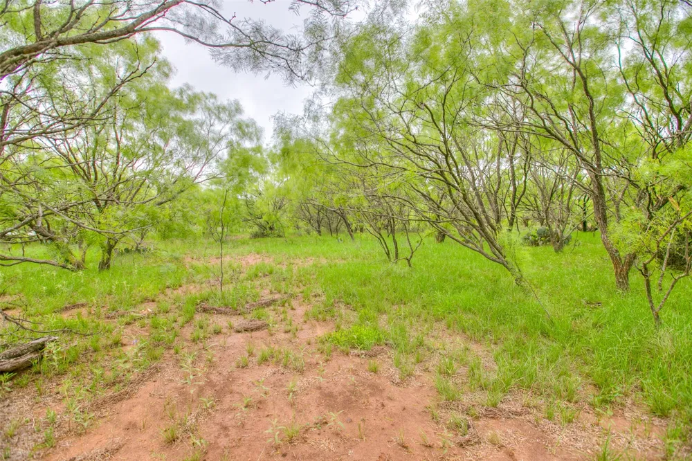 HWY 36 Baird, TX 79504