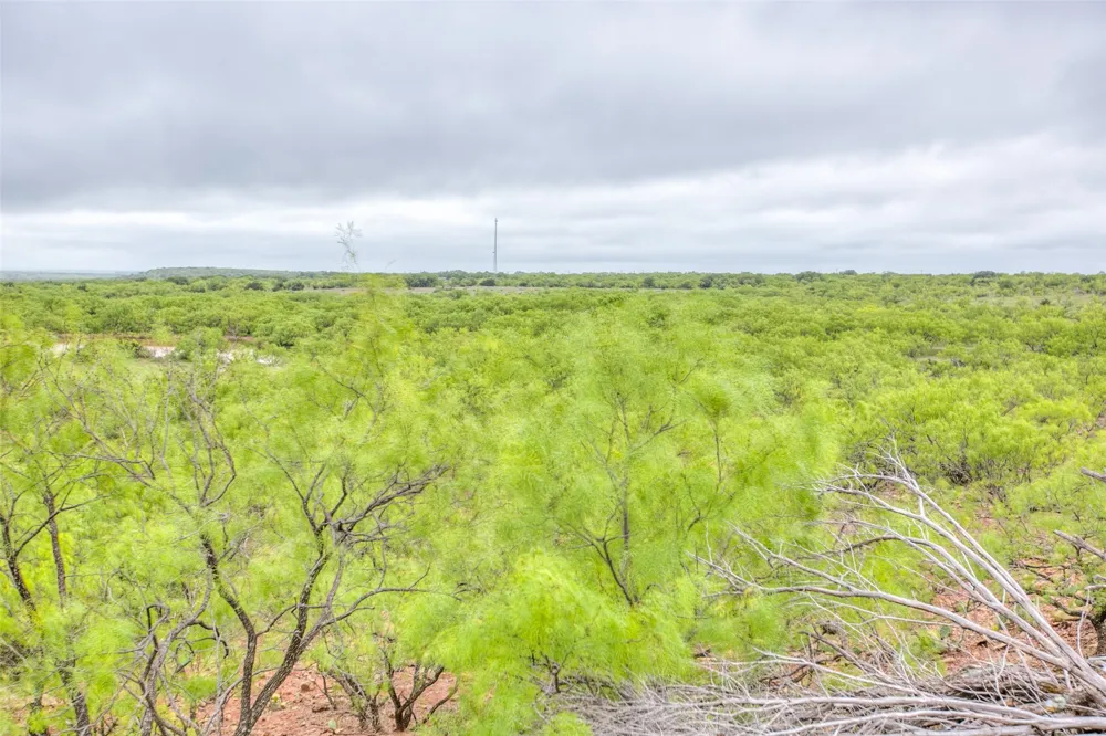 HWY 36 Baird, TX 79504