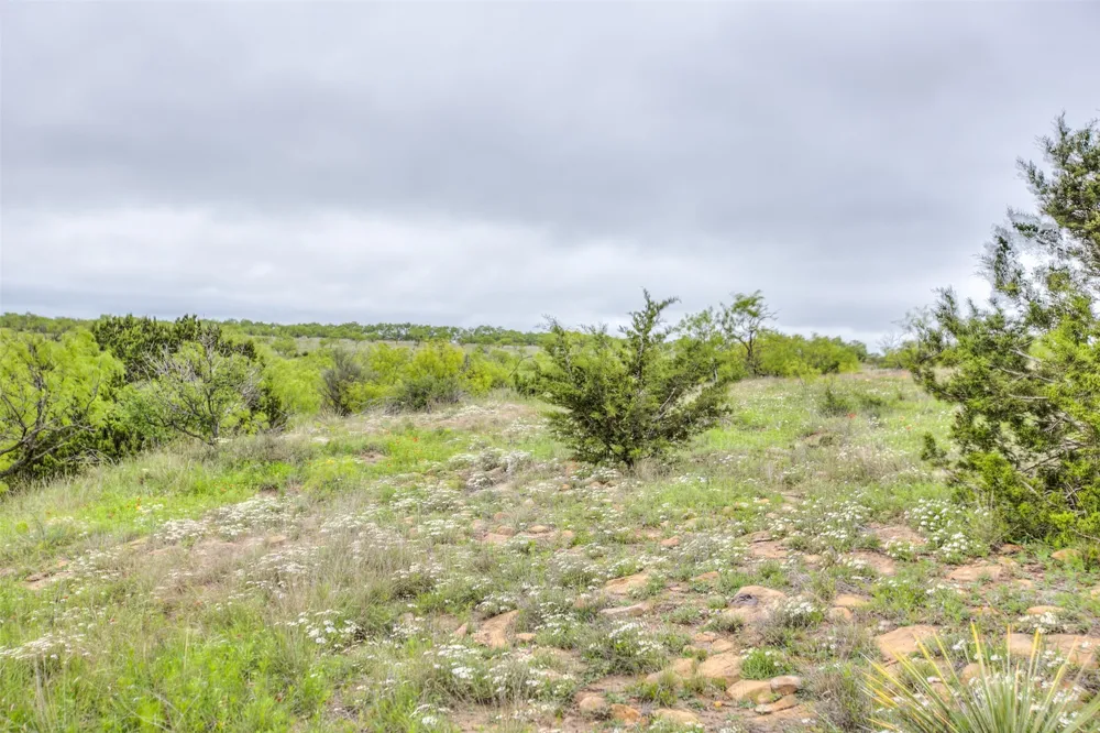HWY 36 Baird, TX 79504