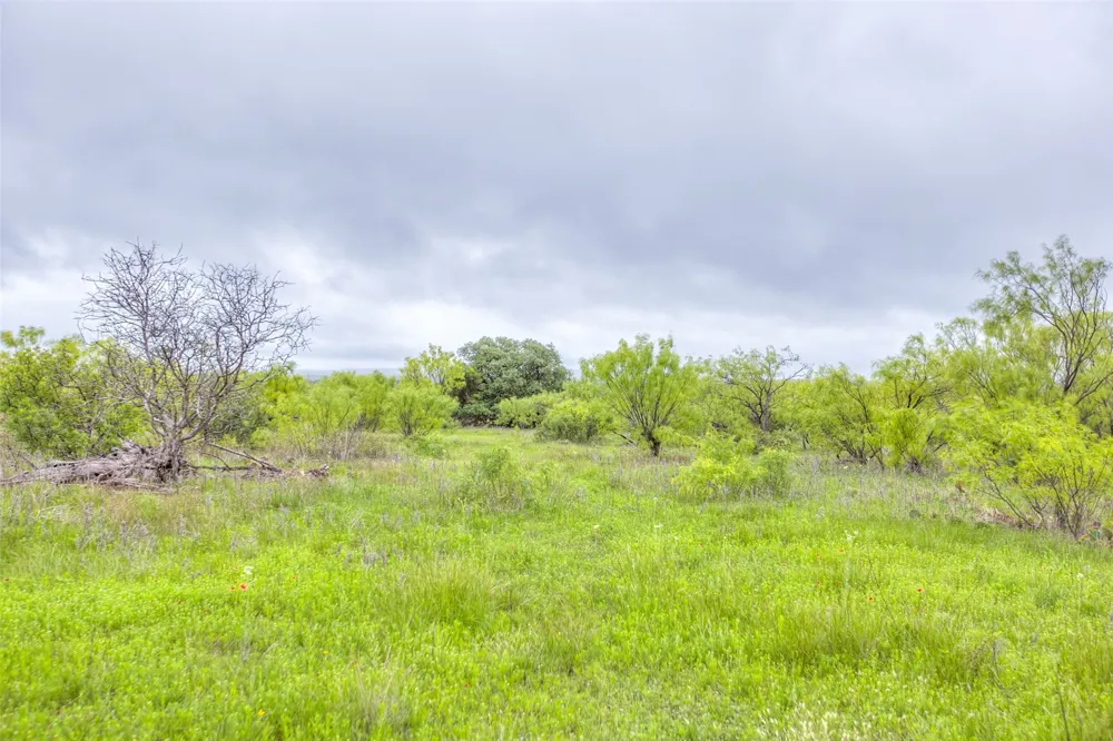 HWY 36 Baird, TX 79504