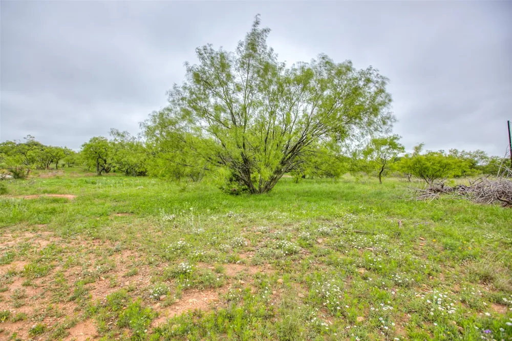 HWY 36 Baird, TX 79504