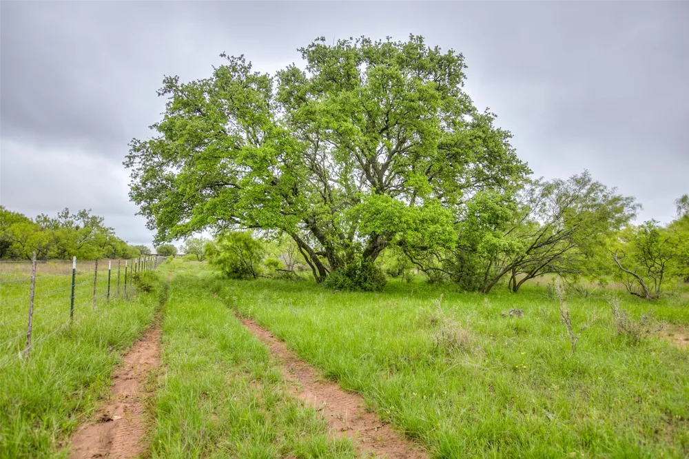 HWY 36 Baird, TX 79504
