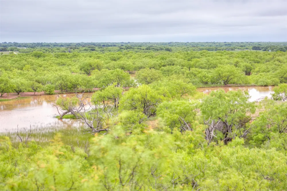 HWY 36 Baird, TX 79504