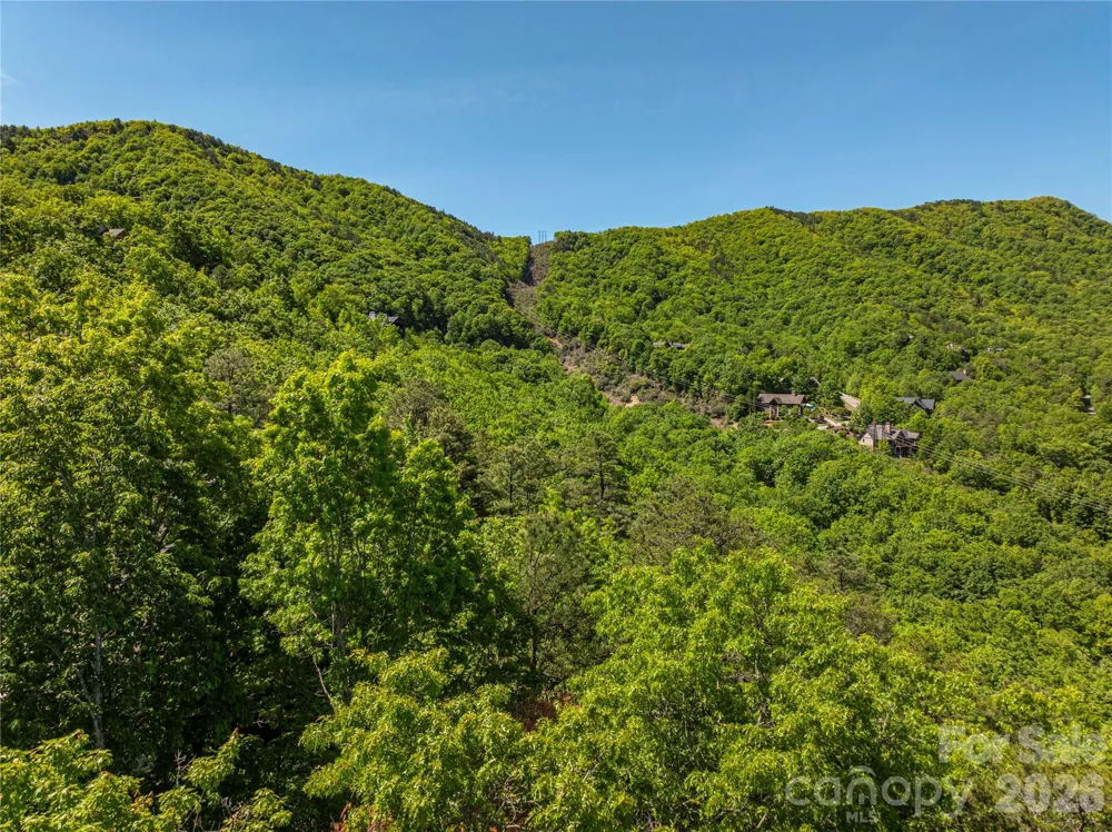 146 Settings Boulevard Black Mountain, NC 28711