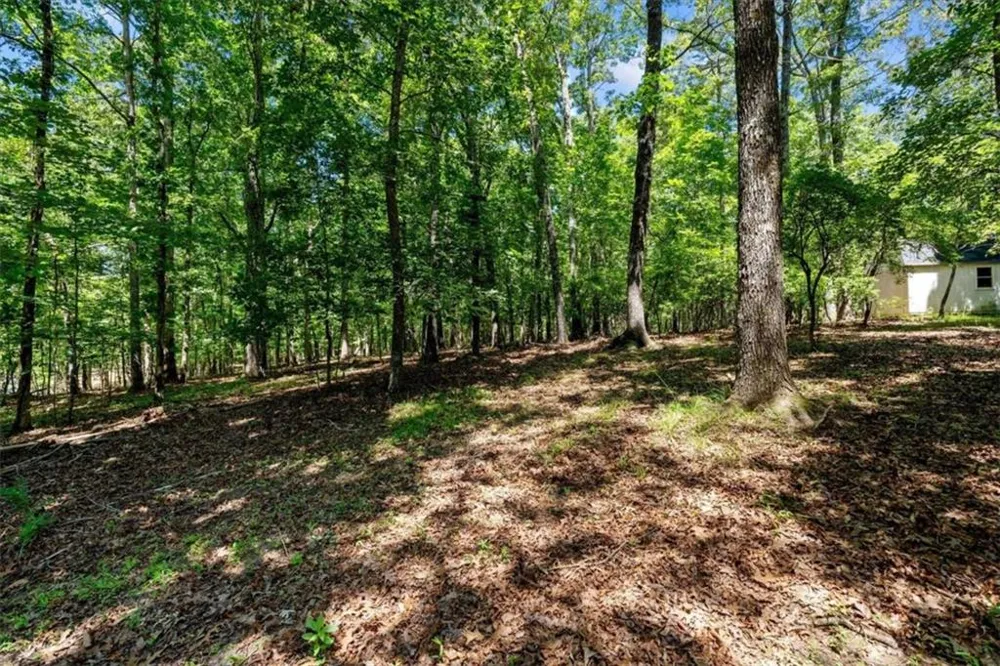 7448 Berea Road Winston, GA 30187