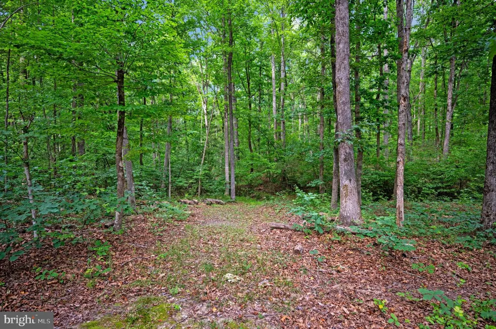 68 BRONCO LANE Fredericksburg, VA 22406