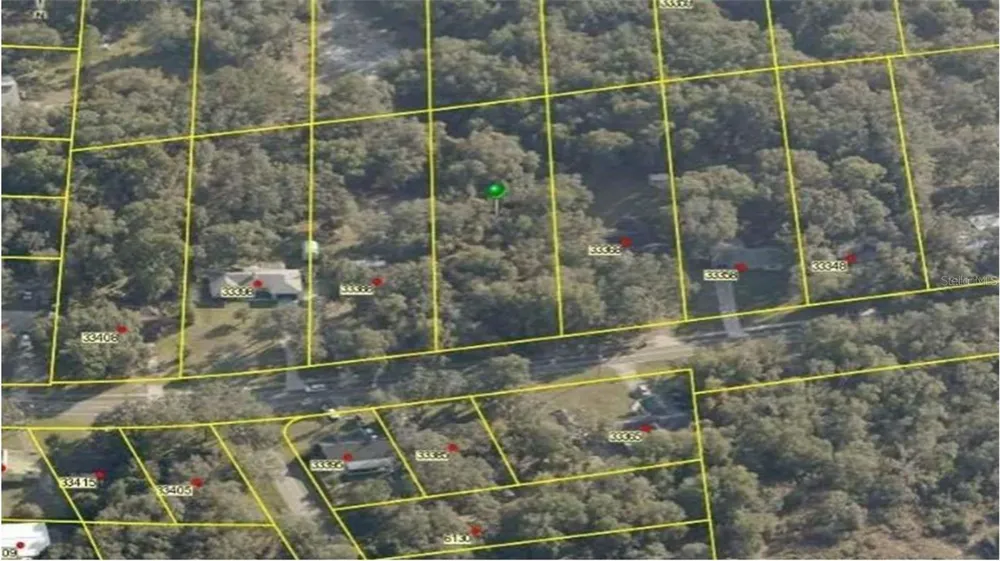 RIDGE MANOR BOULEVARD Dade City, FL 33523
