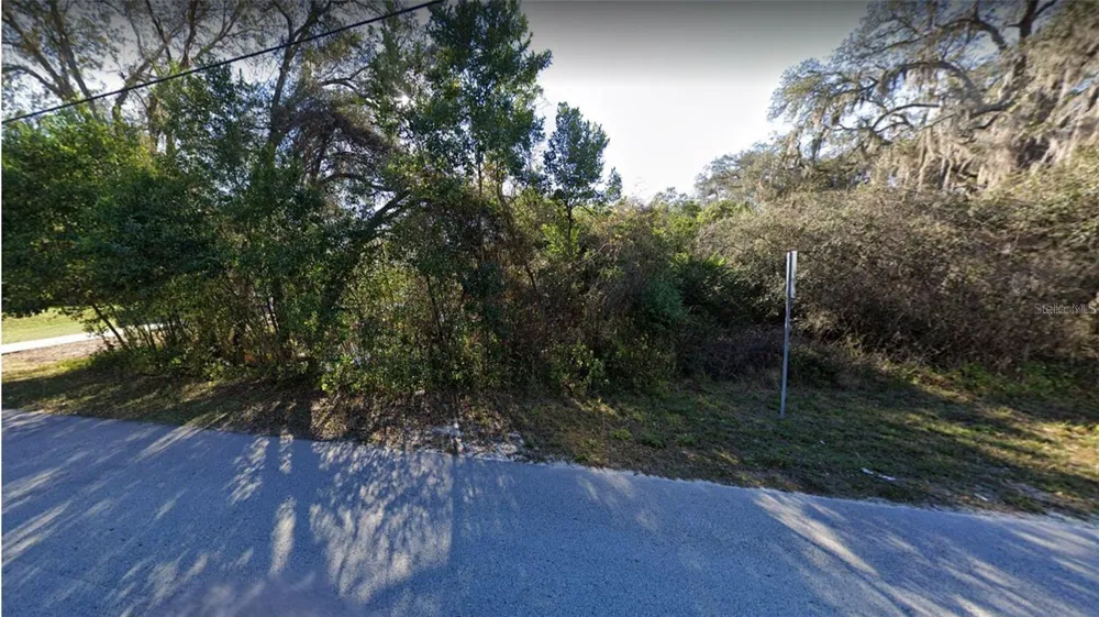 RIDGE MANOR BOULEVARD Dade City, FL 33523