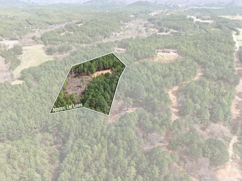 5333 Highway 64, Lot 3