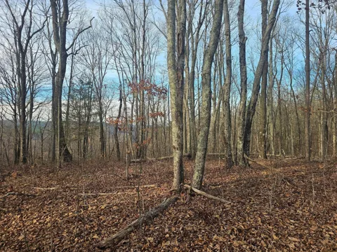 29003 Smith Mountain