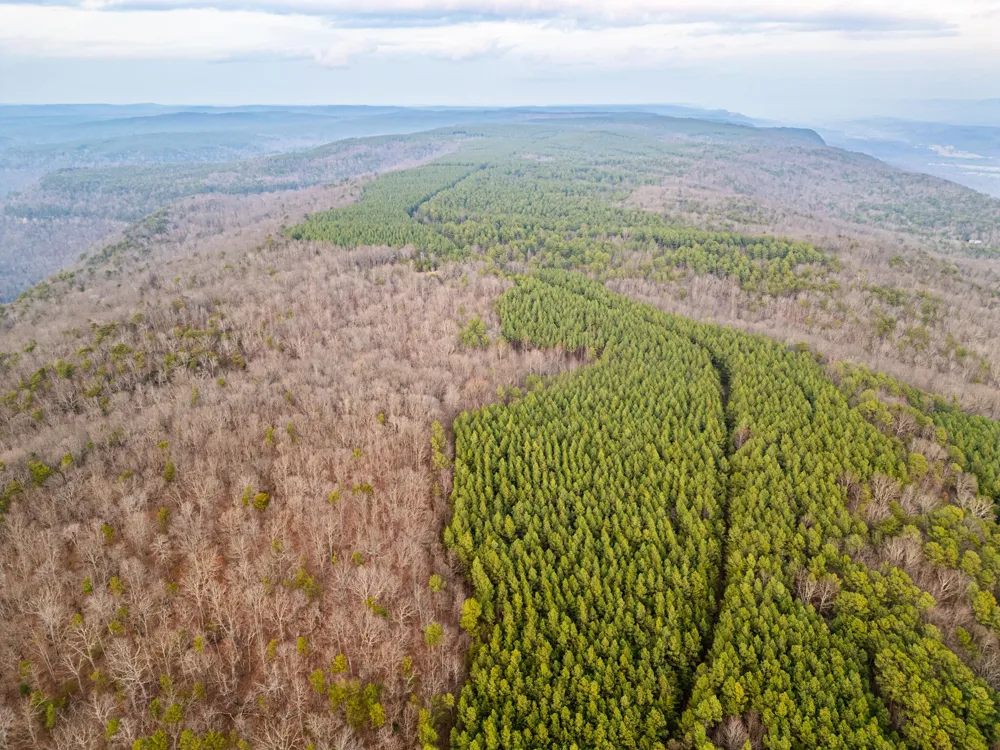 29003 Smith Mountain Dunlap, TN 37327