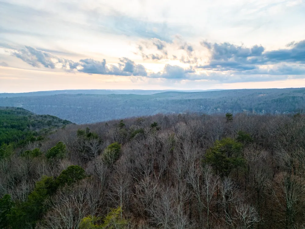 29003 Smith Mountain Dunlap, TN 37327