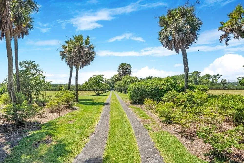 14365 SE HIGHWAY 42 Weirsdale, FL 32195