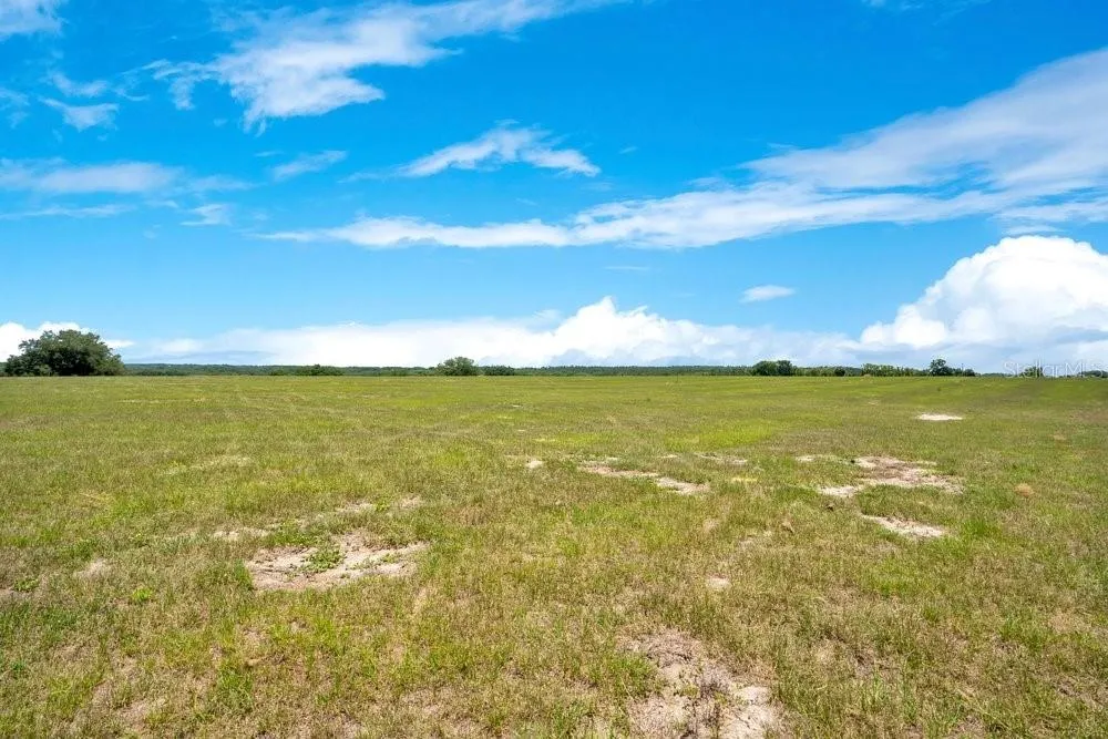14365 SE HIGHWAY 42 Weirsdale, FL 32195