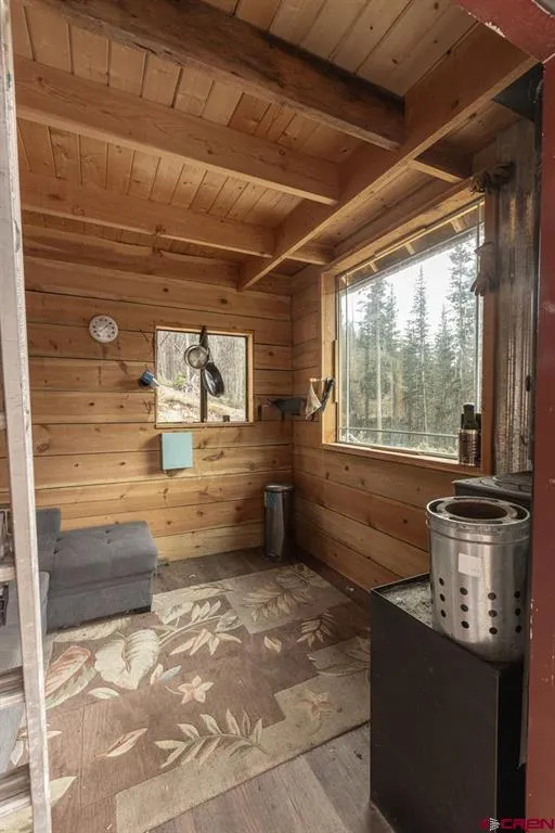 County Road 20A Silverton, CO 81433