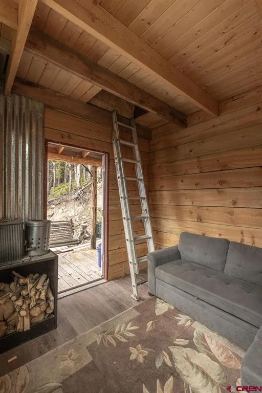 County Road 20A Silverton, CO 81433