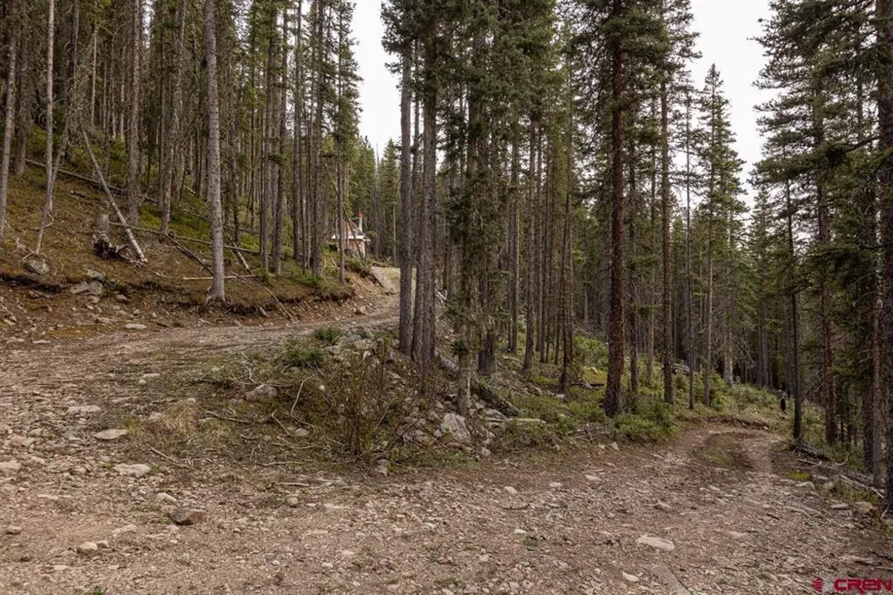 County Road 20A Silverton, CO 81433