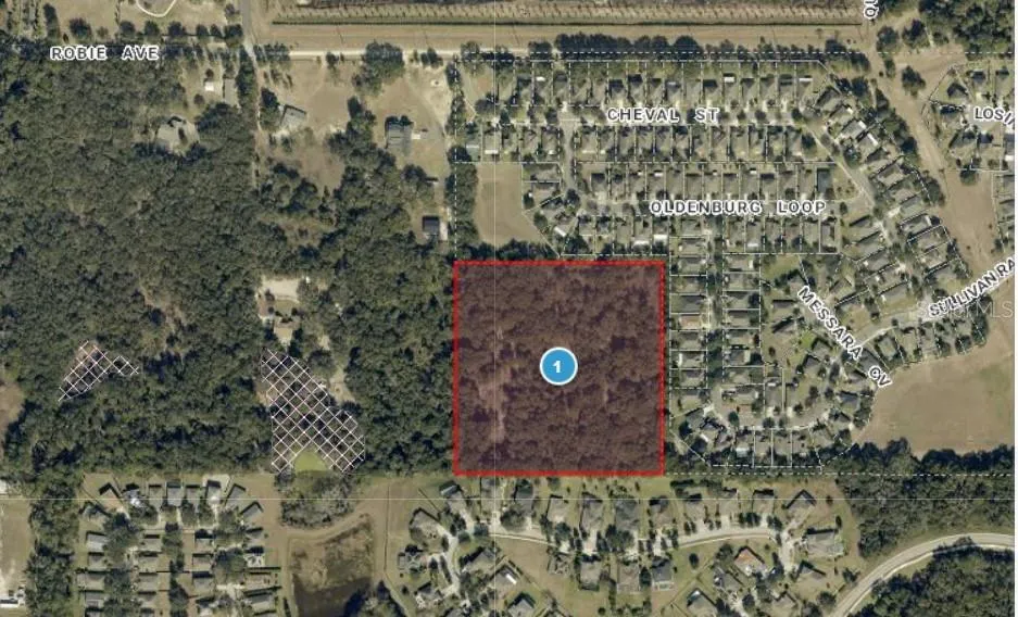 3016 ROBIE AVENUE Mount Dora, FL 32757