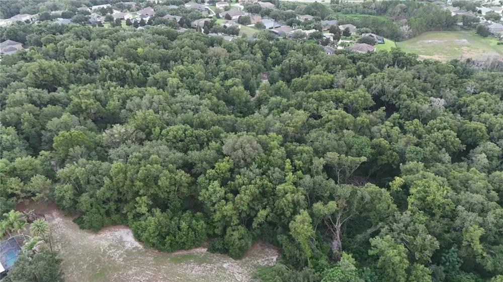 3016 ROBIE AVENUE Mount Dora, FL 32757
