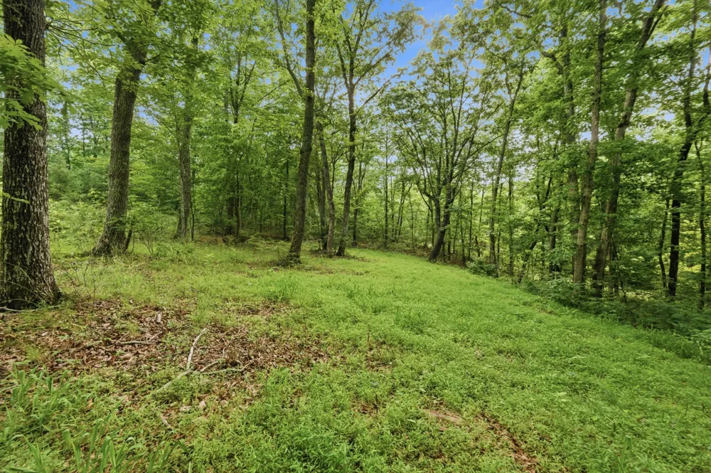 739 S Moore Road Rising Fawn, GA 30738