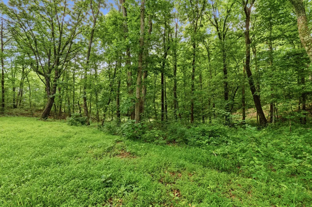 739 S Moore Road Rising Fawn, GA 30738