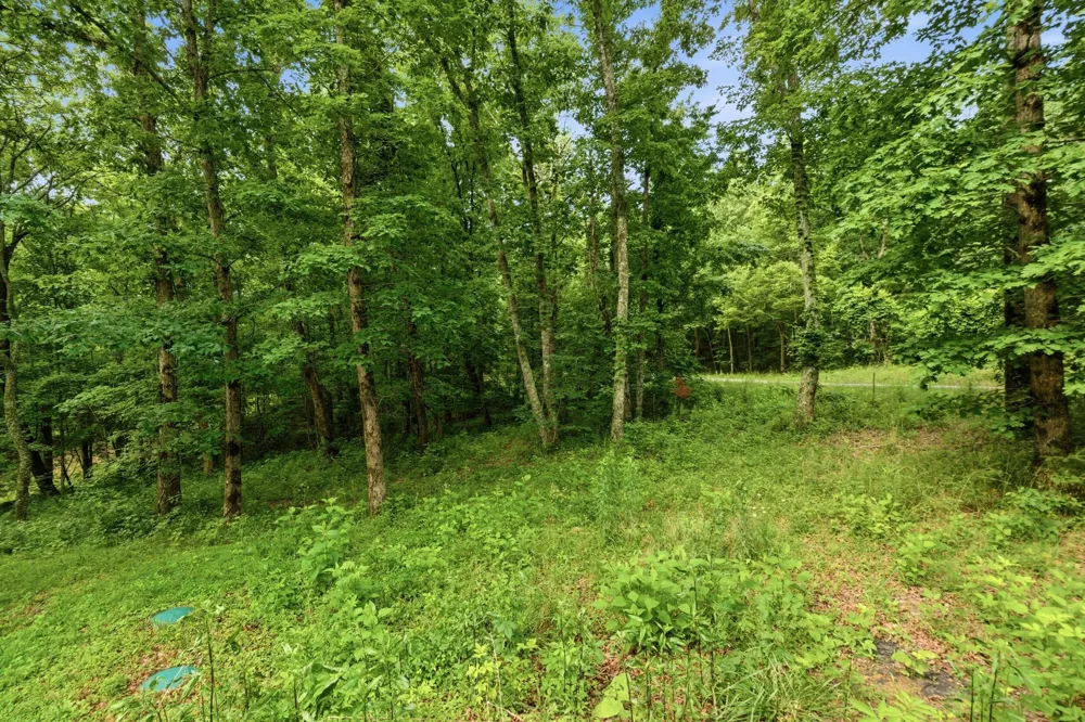 739 S Moore Road Rising Fawn, GA 30738