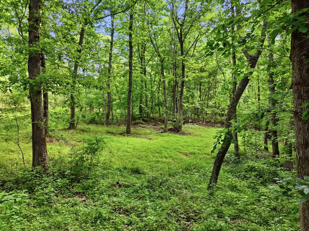 739 S Moore Road Rising Fawn, GA 30738