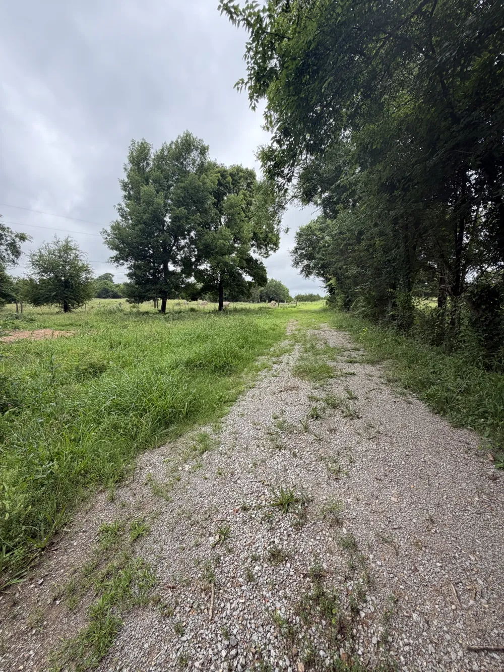 4492 Murray Kittrell Rd Readyville, TN 37149