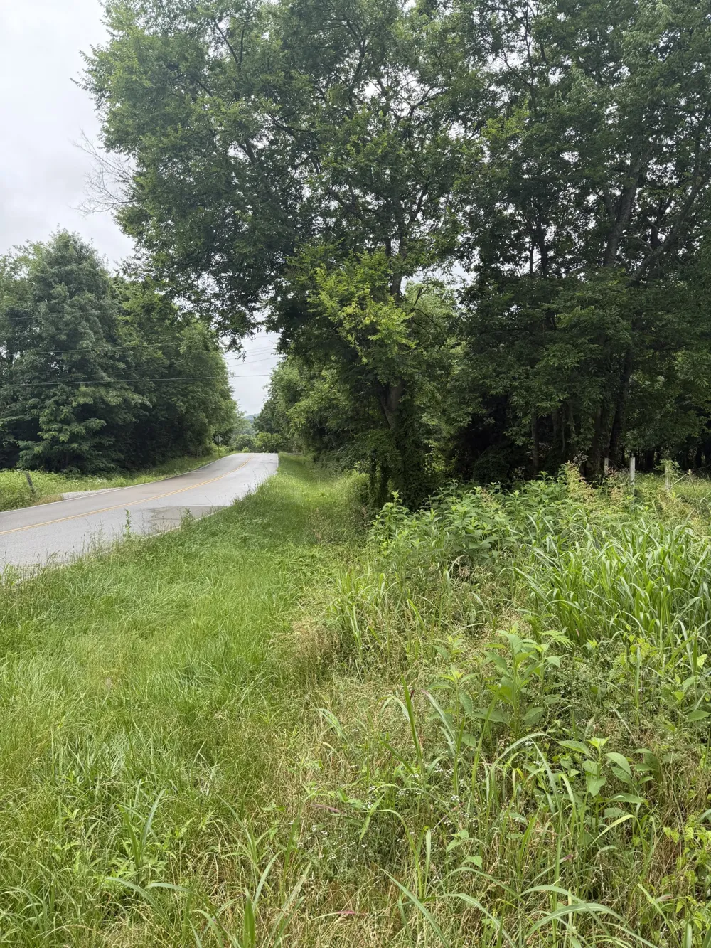 4492 Murray Kittrell Rd Readyville, TN 37149