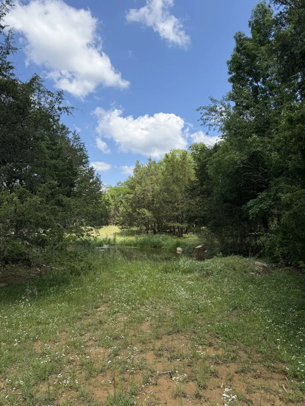 4492 Murray Kittrell Rd Readyville, TN 37149