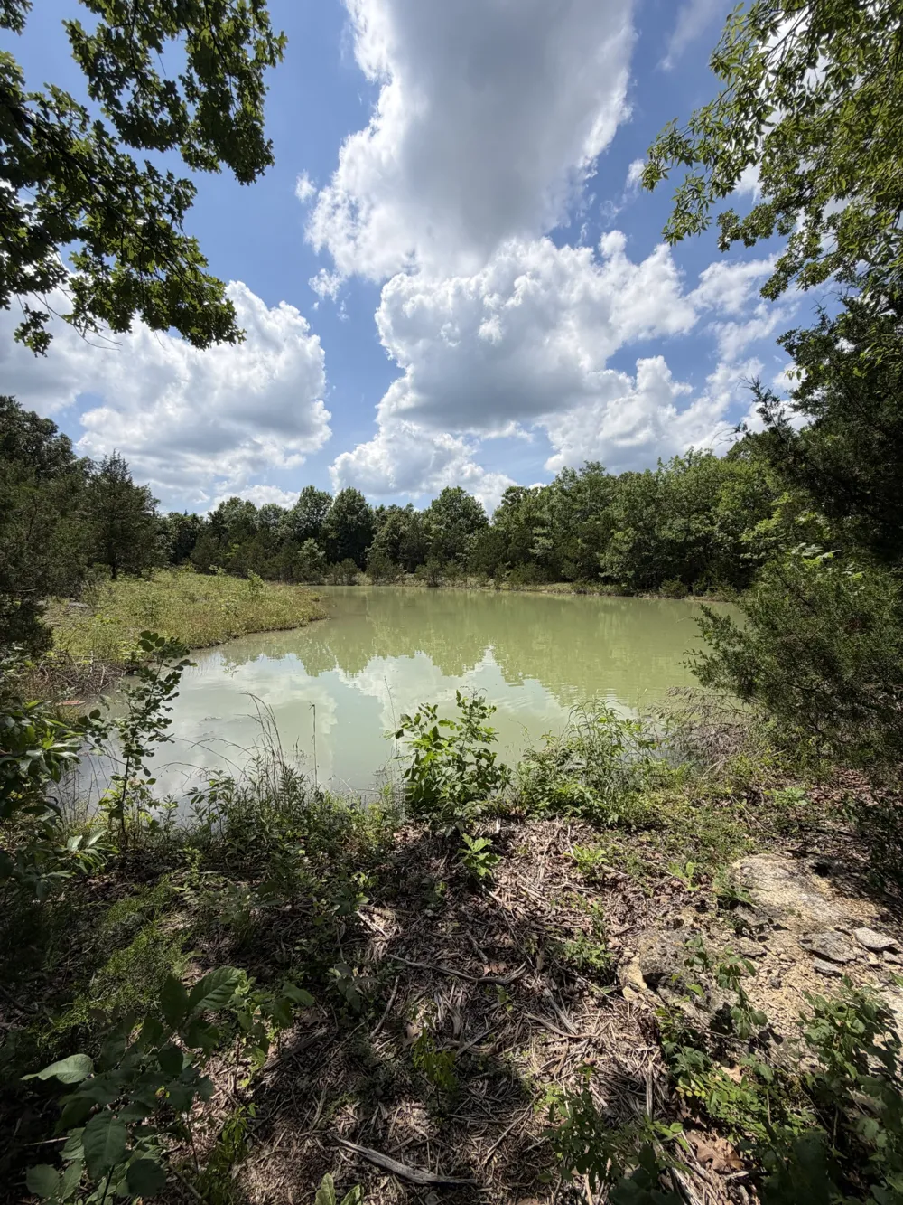 4492 Murray Kittrell Rd Readyville, TN 37149