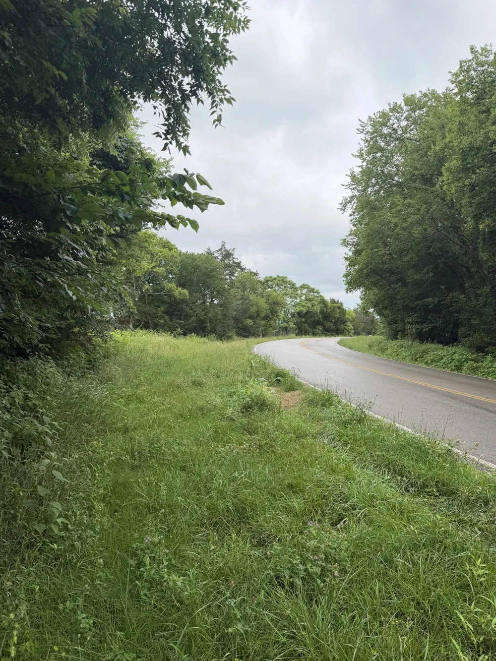 4492 Murray Kittrell Rd Readyville, TN 37149