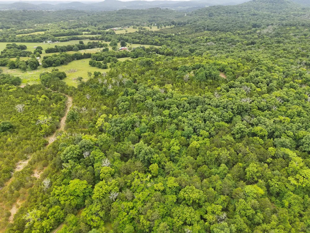 4492 Murray Kittrell Rd Readyville, TN 37149
