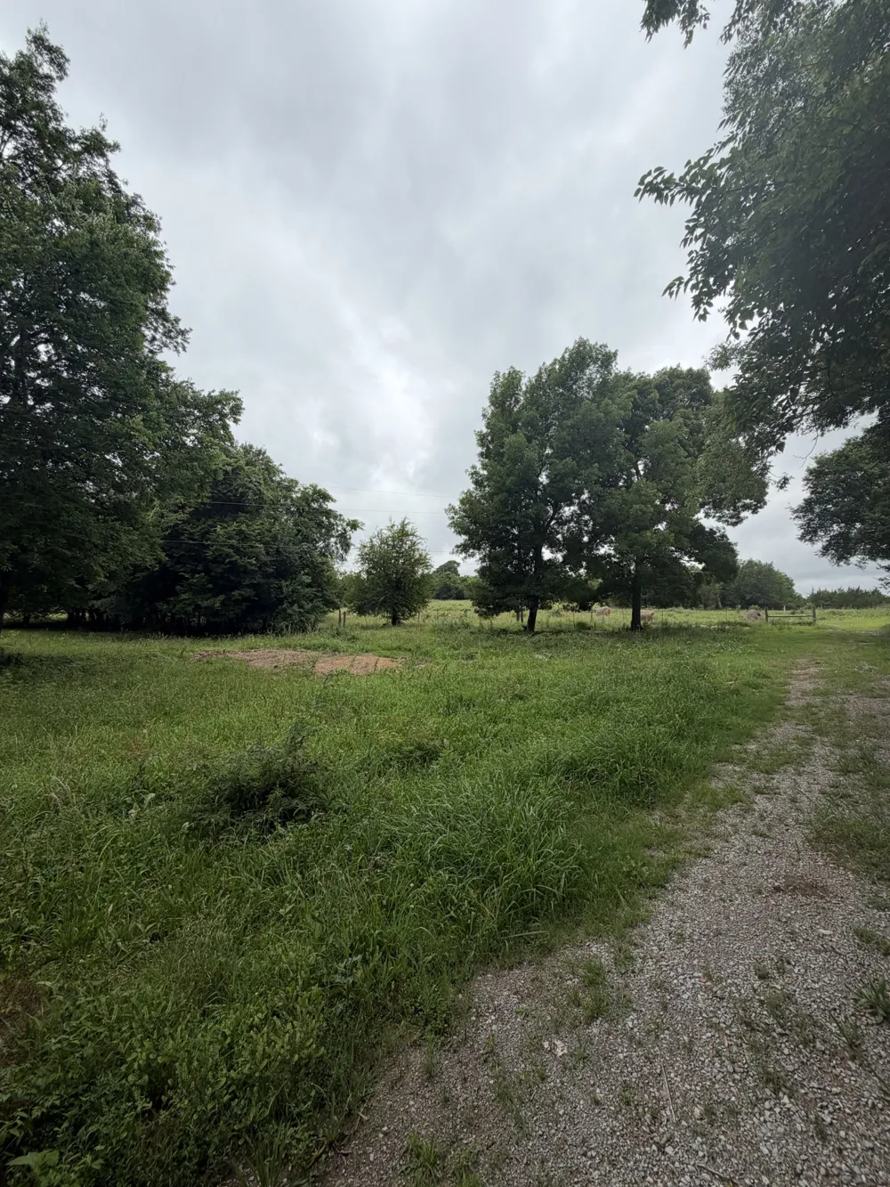 4492 Murray Kittrell Rd Readyville, TN 37149